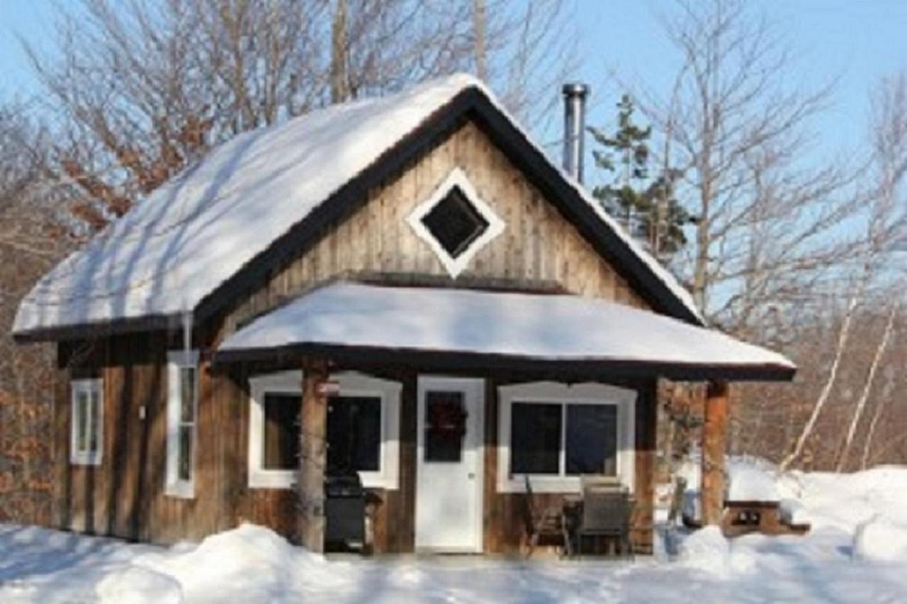 Paradis Sauvage Geronimo Saint-Etienne-de-Bolton Exterior photo